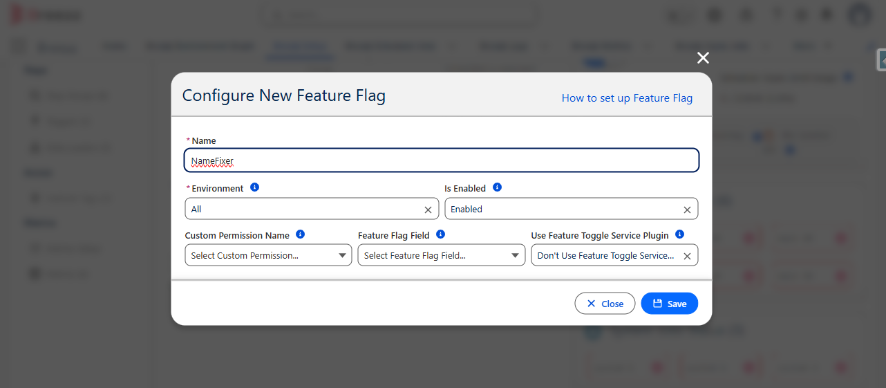 NameFixer Feature Flag